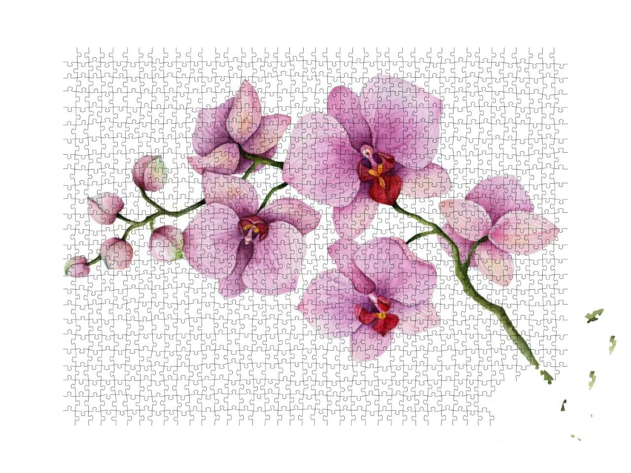 Puzzle 1000 Teile „Ein Orchideenzweig auf weißem Hintergrund“