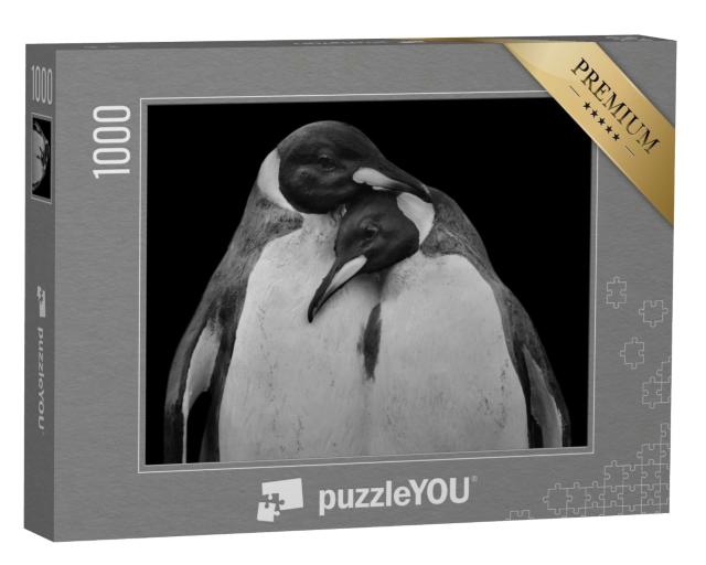 Puzzle 1000 Teile „Pinguin-Pärchen in inniger Umarmung “