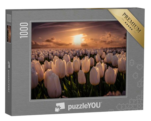 Puzzle 1000 Teile „Sonnenuntergang auf dem Tulpenfeld, Niederlande“