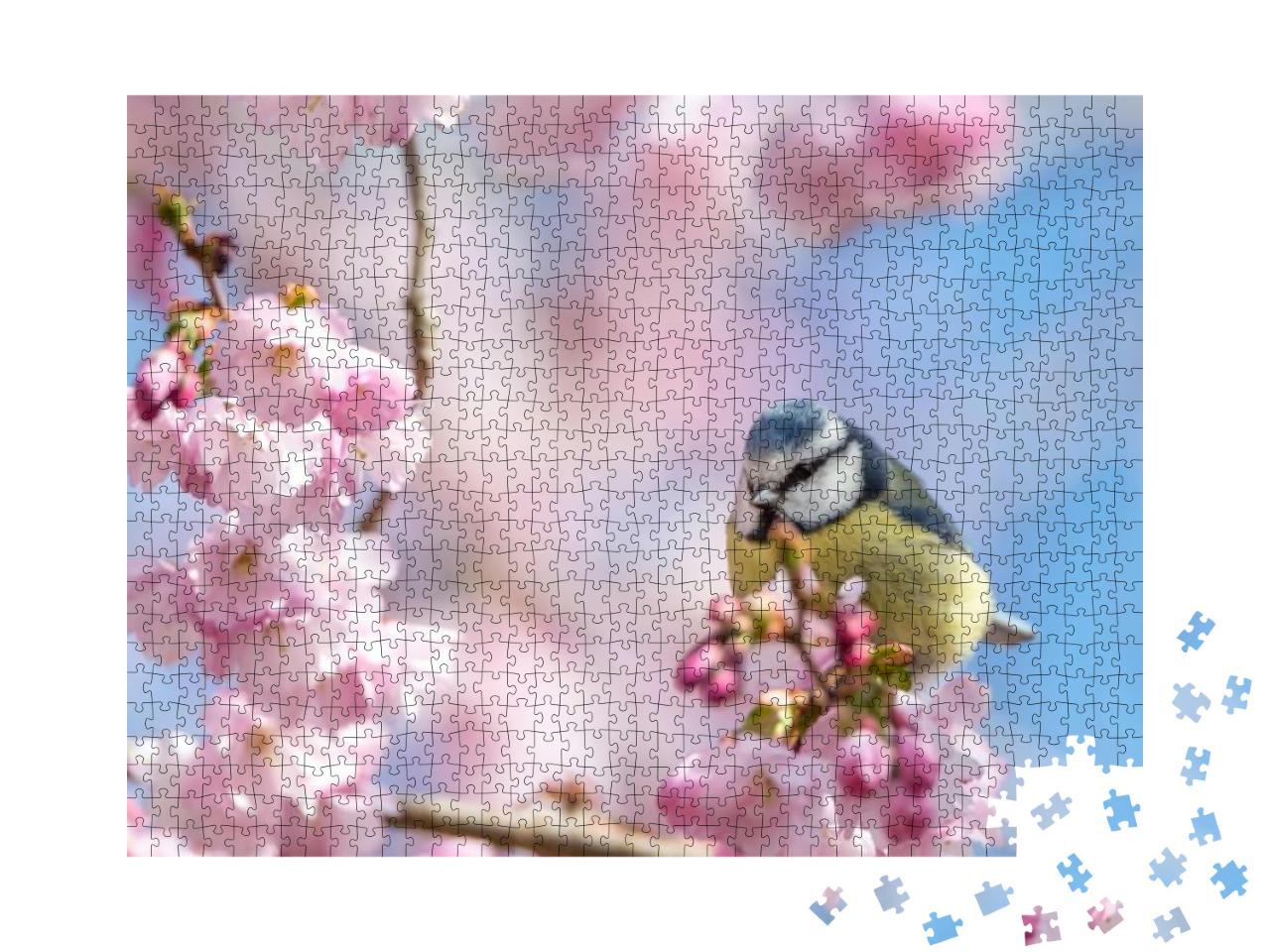 Puzzle 1000 Teile „Eine Blaumeise sitzt auf einem schönen Zweig mit Kirschblüten“