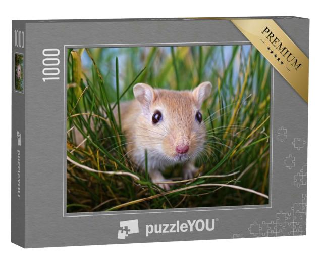 Puzzle 1000 Teile „Kleine Rennmaus im Gras“