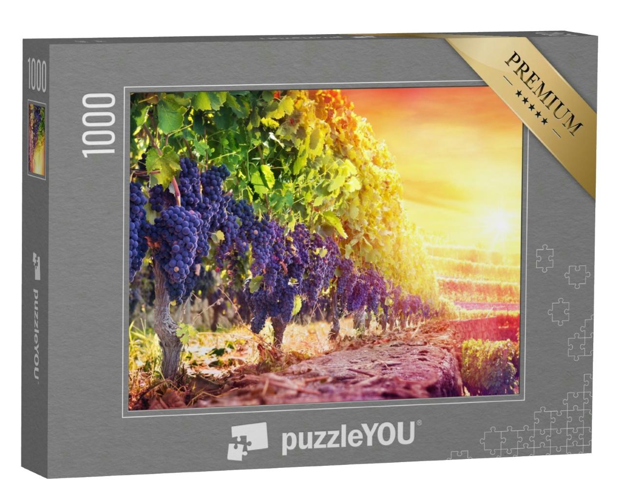 Puzzle 1000 Teile „Reife Trauben im Weinberg bei Sonnenuntergang “