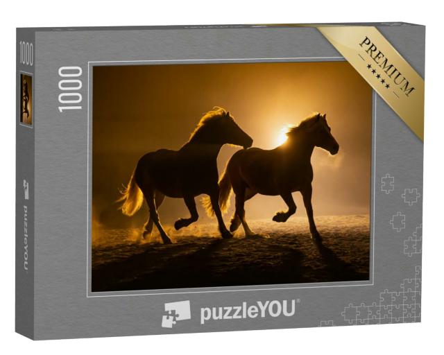 Puzzle 1000 Teile „Silhouette zweier galoppierender Haflingerpferde in abendlicher Atmosphäre“