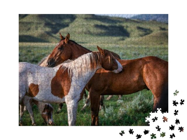 Puzzle 1000 Teile „Paintpony und Ranch-Pferd, Montana, USA“