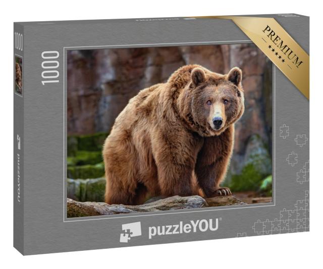 Puzzle 1000 Teile „Ein großer Braunbär“