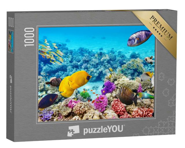 Puzzle 1000 Teile „Die Unterwasserwelt mit Korallen und tropischen Fischen“