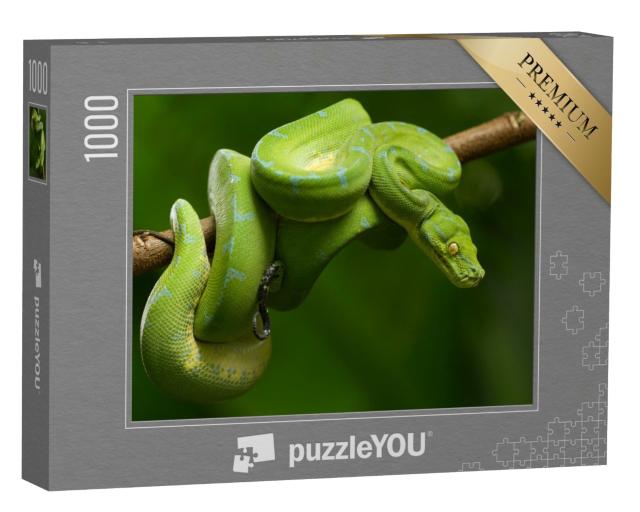 Puzzle 1000 Teile „Baumpython in leuchtendem Grün“