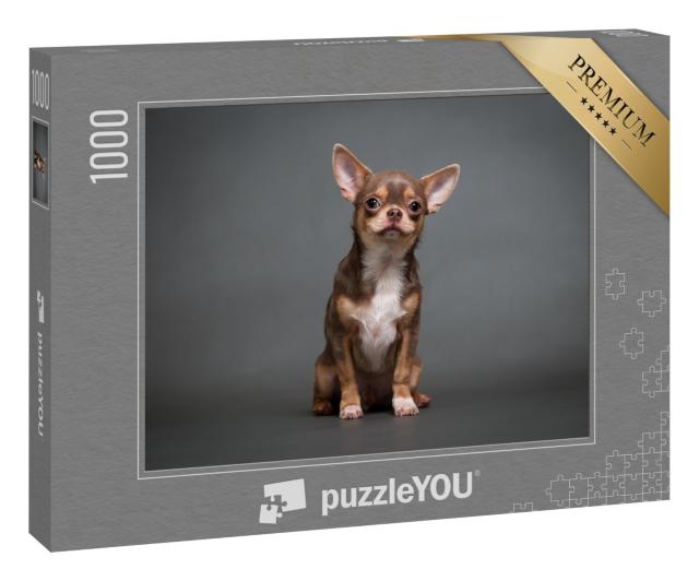 Puzzle 1000 Teile „Chihuahua Welpe “