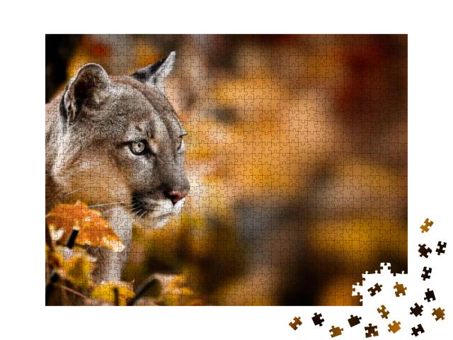 Puzzle 1000 Teile „Puma, auch bekannt als Berglöwe“