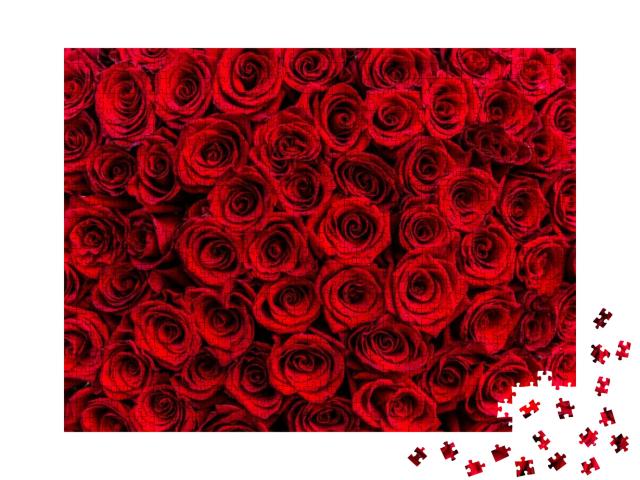 Puzzle 1000 Teile „Ein Meer aus dunkelroten Rosen“