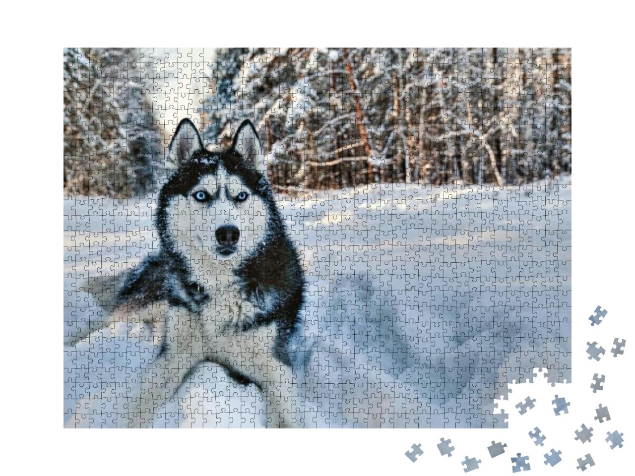 Puzzle 1000 Teile „Husky im Schnee“