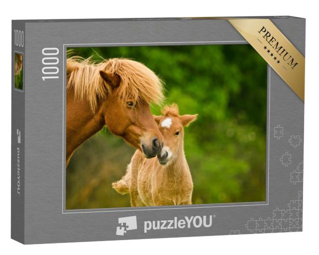 Puzzle 1000 Teile „Fuchsfarbenes Island-Fohlen und seine Mutter“