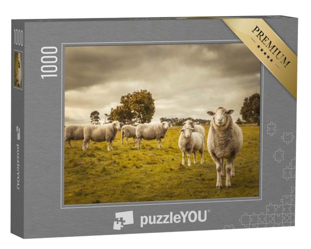 Puzzle 1000 Teile „Schafe auf ihrer Weide“