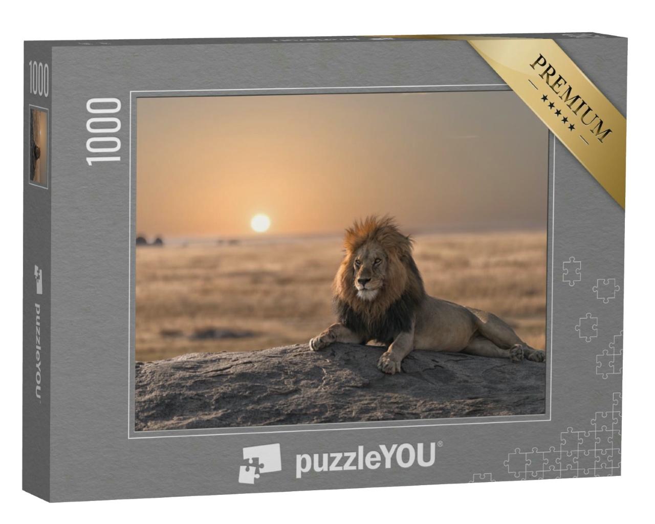 Puzzle 1000 Teile „Majestätischer Löwe im Sonnenuntergang“