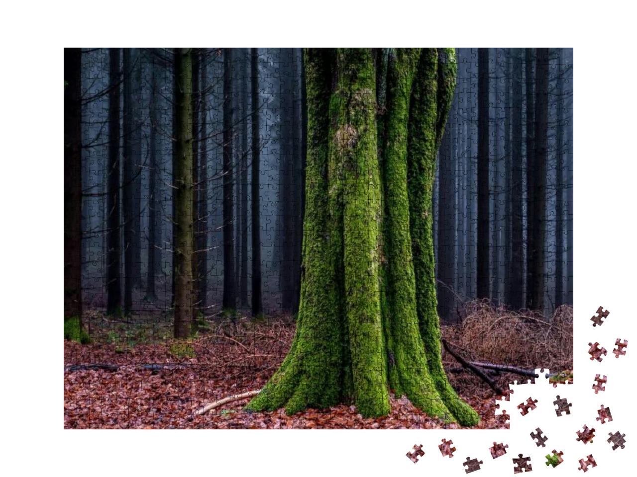 Puzzle 1000 Teile „Moosbewachsener Baumstamm im Herbstwald“