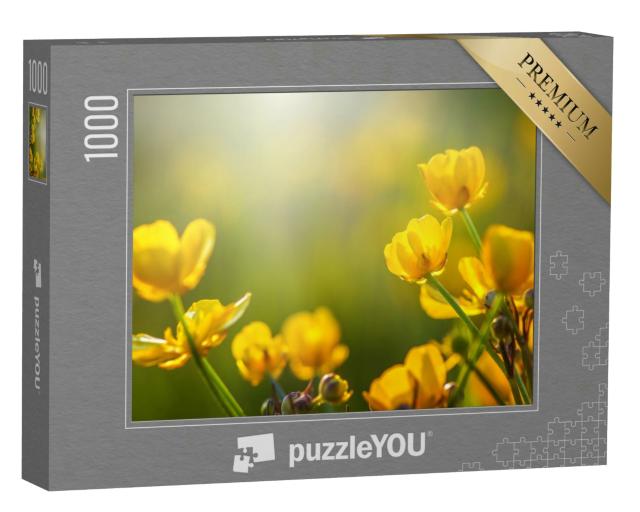 Puzzle 1000 Teile „Feld mit Frühlingsblumen im Sonnenlicht“