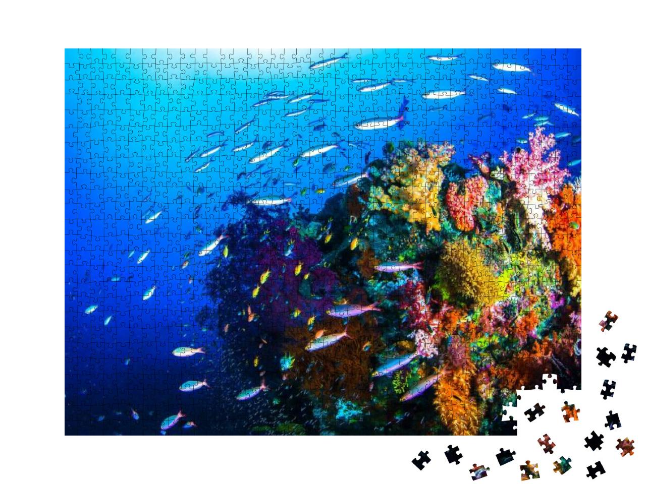 Puzzle 1000 Teile „Kleine Fische umschwimmen ein Korallenriff“