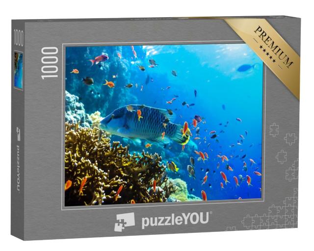 Puzzle 1000 Teile „Verschiedene bunte Unterwasserfische “