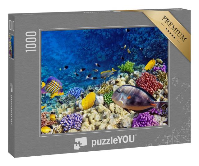 Puzzle 1000 Teile „Farbenfrohe Korallen und Fische im Roten Meer bei Ägypten“