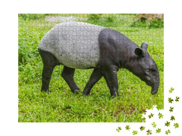 Puzzle 1000 Teile „Tapir, das sich von großen Pflanzen ernährt“