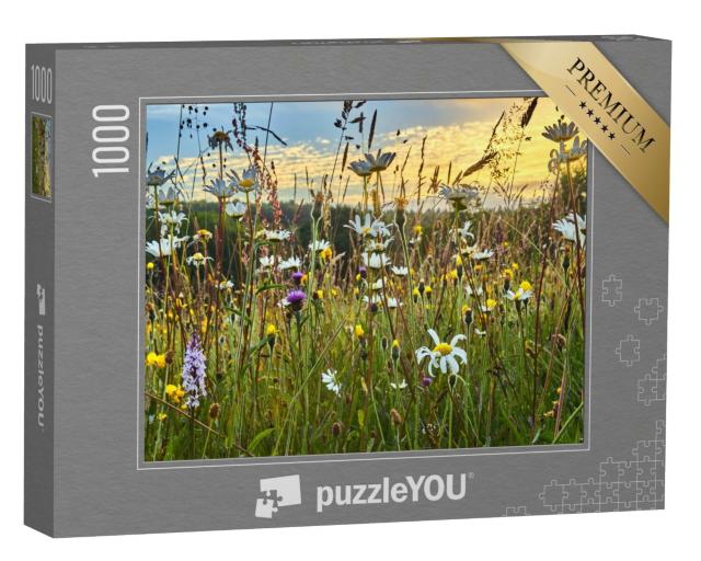 Puzzle 1000 Teile „Eine Wildblumenheuwiese im Sommer“