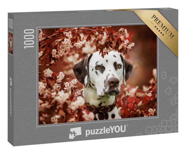 Puzzle 1000 Teile „Schöner Dalmatiner“