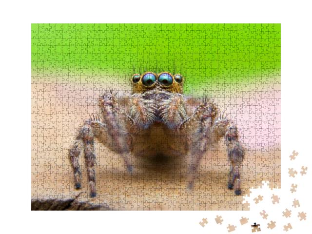 Puzzle 1000 Teile „Super-Makro-Fotografie der Springspinne“