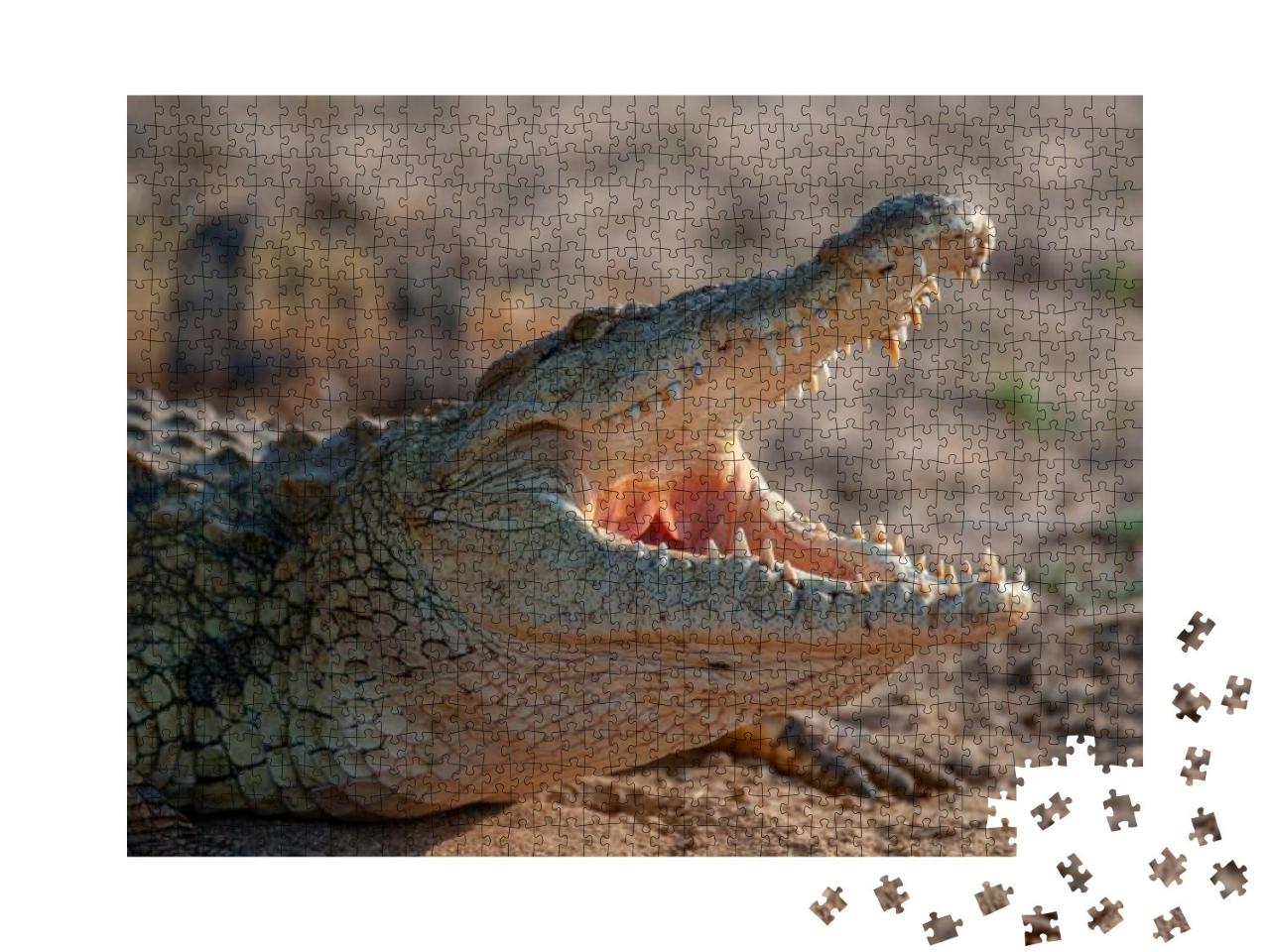 Puzzle 1000 Teile „Ein Nilkrokodil, gesehen auf einer Safari in Südafrika“