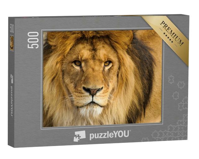 Puzzle 500 Teile „Portrait eines männlichen Löwen“