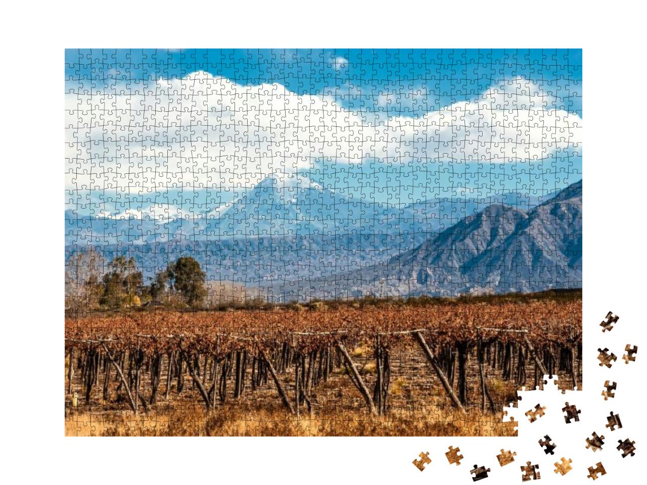 Puzzle 1000 Teile „Vulkan Aconcagua und Weinberg, Anden, Argentinien“