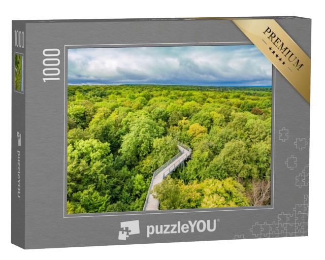 Puzzle 1000 Teile „Baumwipfelpfad durch die Buchenwälder des Nationalparks Hainich, Deutschland“