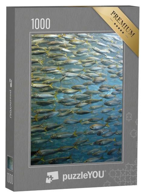 Puzzle 1000 Teile „Sardinenschwarm“