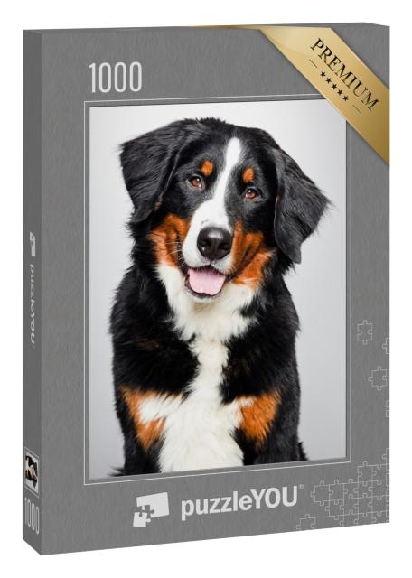 Puzzle 1000 Teile „Porträt eines Berner Sennenhunds“