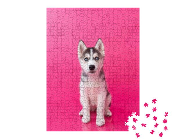 Puzzle 1000 Teile „Huskywelpe vor rosa Hintergrund“