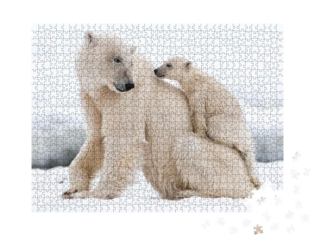 Puzzle 1000 Teile „Der Eisbär, Raubtier der nördlichen Arktis“