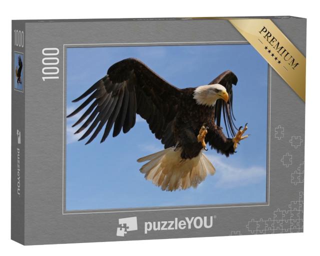 Puzzle 1000 Teile „Ein fliegender Adler“