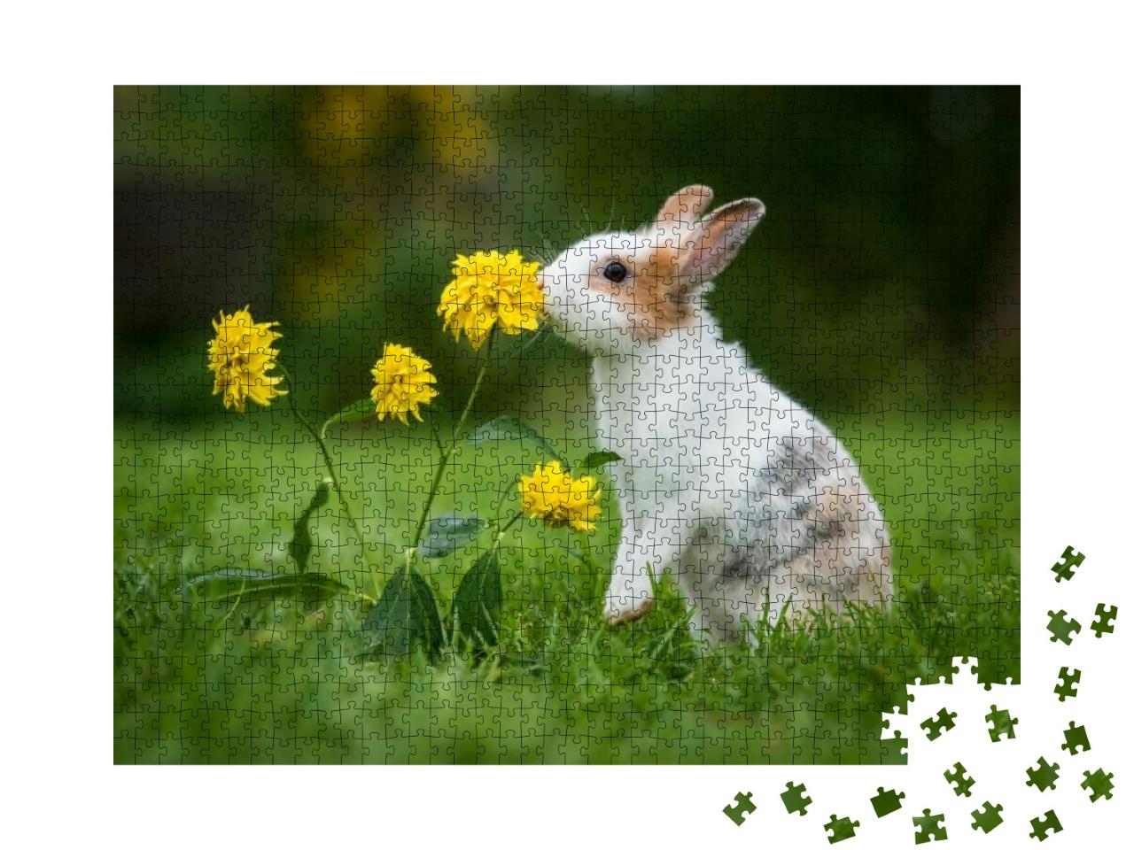 Puzzle 1000 Teile „Kleines neugieriges Kaninchen“