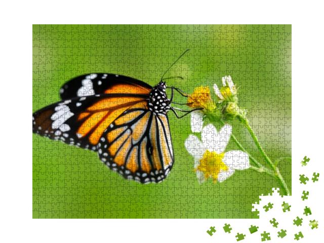 Puzzle 1000 Teile „Schmetterling der Gattung Gewöhnlicher Tigerfalter auf einer Blüte“