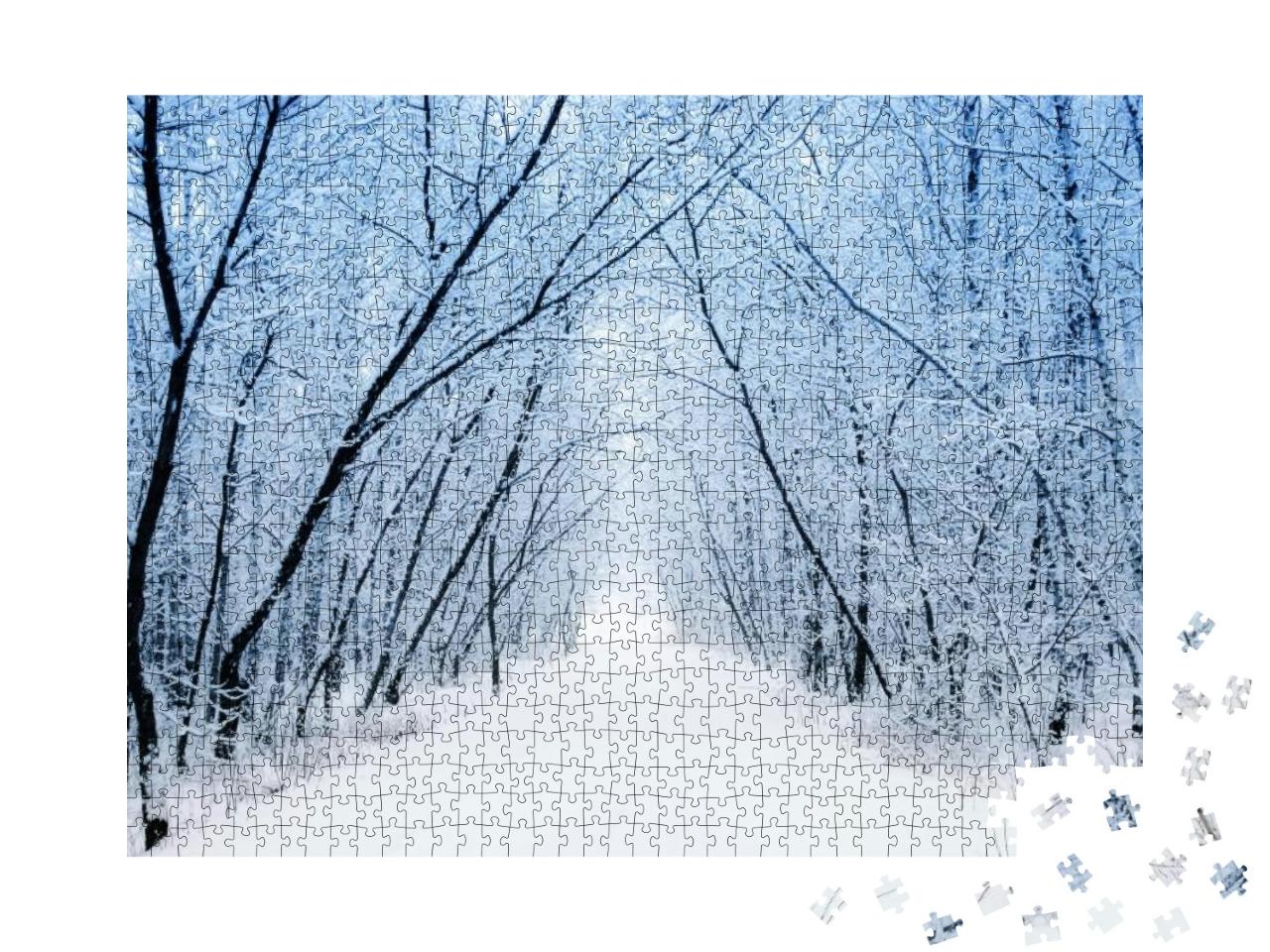 Puzzle 1000 Teile „Ein verschneiter Waldweg“