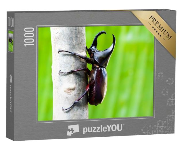 Puzzle 1000 Teile „Imposanter männlicher Nashornkäfer“