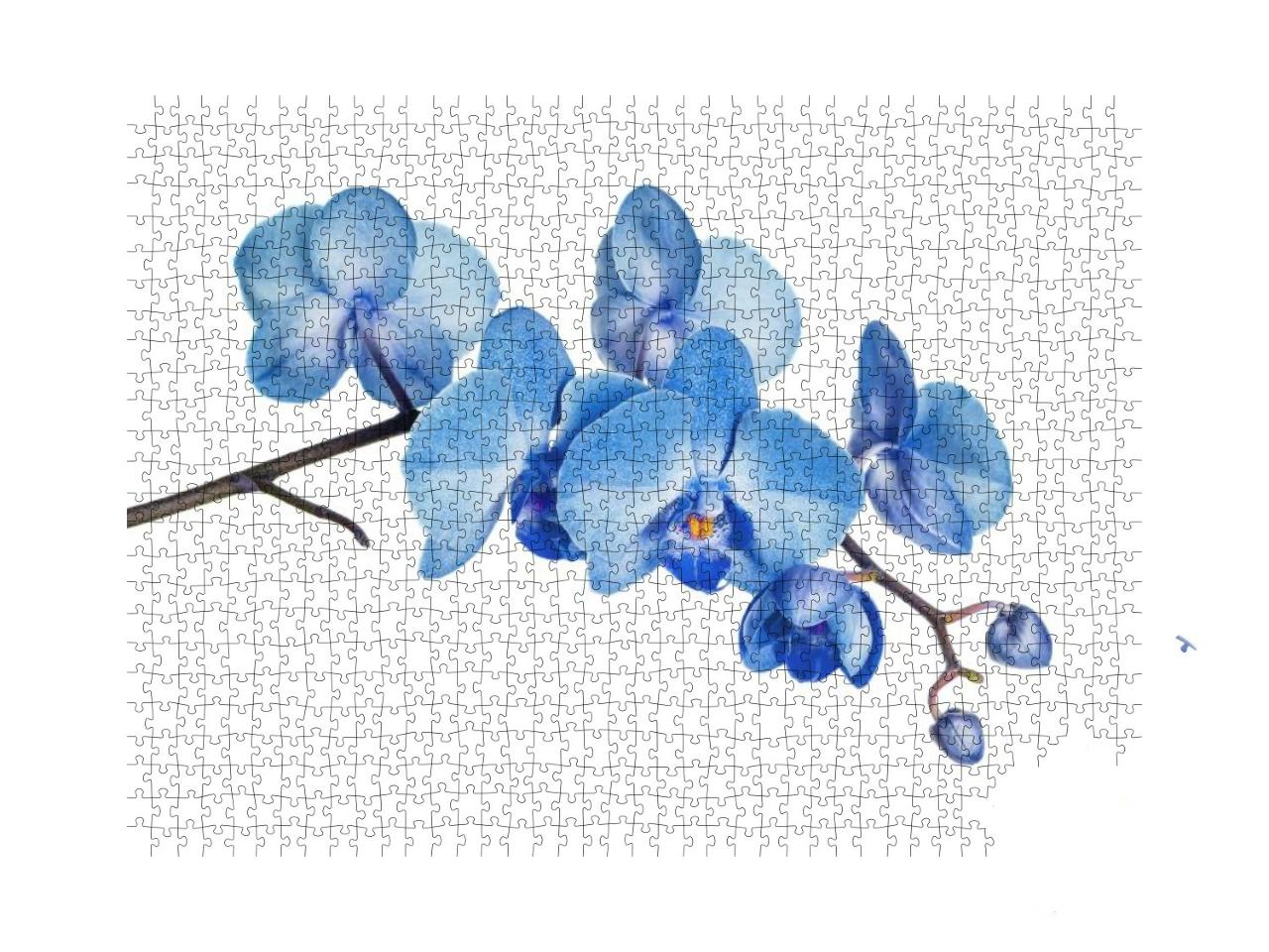 Puzzle 1000 Teile „Blühender Zweig der blauen Orchidee“