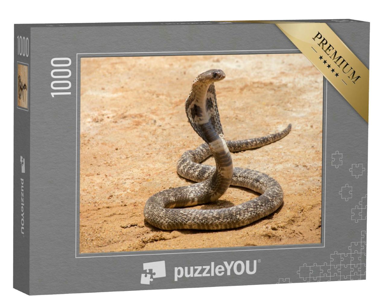 Puzzle 1000 Teile „Die Königskobra auf Sand“