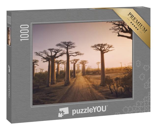 Puzzle 1000 Teile „Baobab-Bäume bei Sonnenuntergang, Affenbrotbaum in Madagaskar“