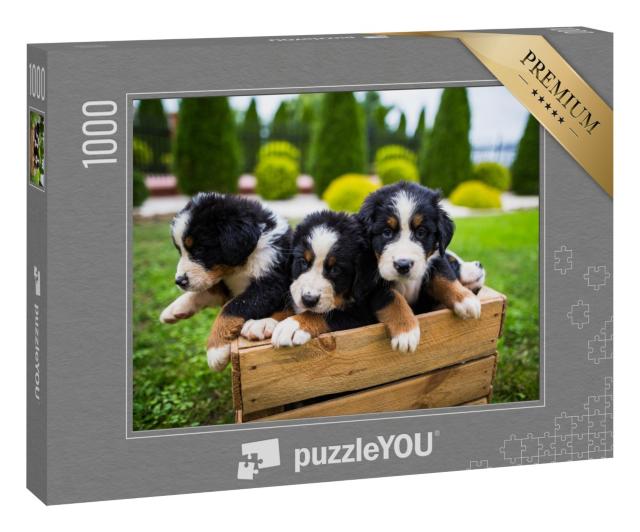Puzzle 1000 Teile „Junge Berner Sennenhund “