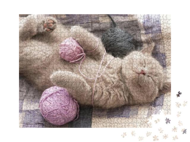 Puzzle 1000 Teile „Schlafendes lilac Kätzchen, niedlich“