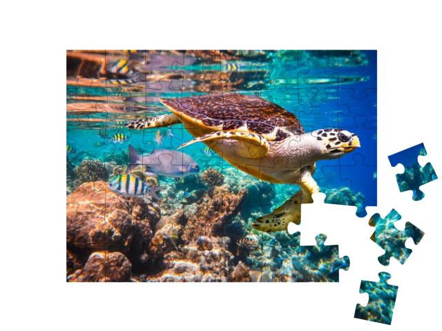 Puzzle 48 Teile „Echte Karettschildkröte im Korallenriff“