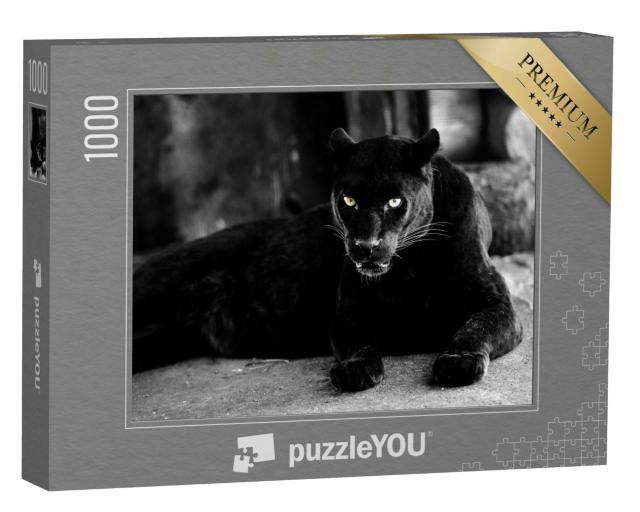 Puzzle 1000 Teile „Schöner schwarzer Panther “