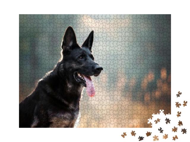 Puzzle 1000 Teile „Ein schwarzer Schäferhund in Nahaufnahme“
