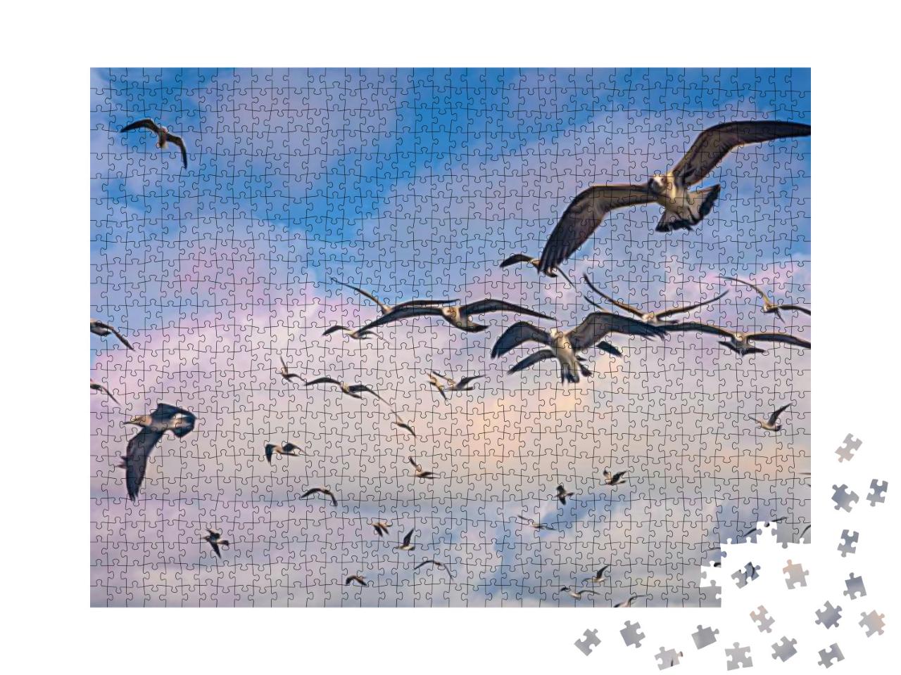 Puzzle 1000 Teile „Schwarm von Möwen im Flug über den Himmel“