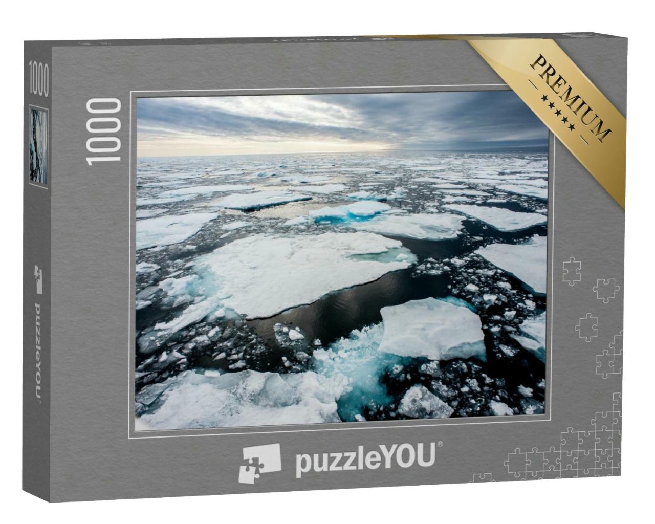 Puzzle 1000 Teile „Eisschollen in der Arktis “